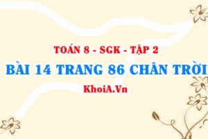 Bài 14 trang 86 Toán 8 Chân trời sáng tạo Tập 2
